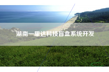 湖南一里达科技盲盒系统开发