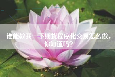 谁能教我一下期货程序化交易怎么做，你知道吗？