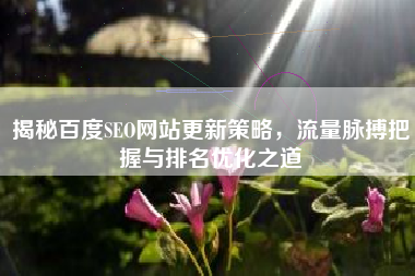 揭秘百度SEO网站更新策略，流量脉搏把握与排名优化之道