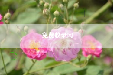 免费收录网