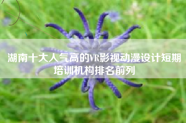 湖南十大人气高的VR影视动漫设计短期培训机构排名前列