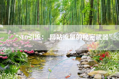 “SEO引流： 网站流量的秘密武器”