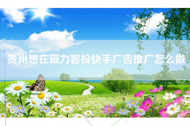 贵州想在磁力智投快手广告推广怎么做