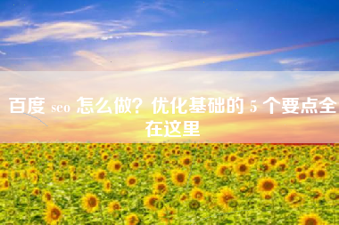百度 seo 怎么做？优化基础的 5 个要点全在这里