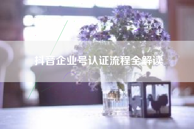 抖音企业号认证流程全解读
