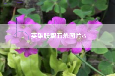 英雄联盟五杀图片s5