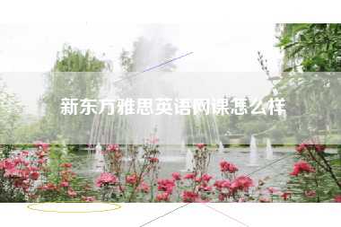 新东方雅思英语网课怎么样