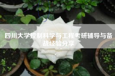四川大学控制科学与工程考研辅导与备战经验分享
