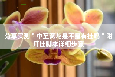 分享实测＂中至窝龙是不是有挂吗＂附开挂脚本详细步骤