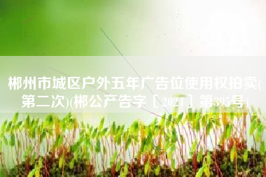 郴州市城区户外五年广告位使用权拍卖(第二次)(郴公产告字〔2024〕第395号)