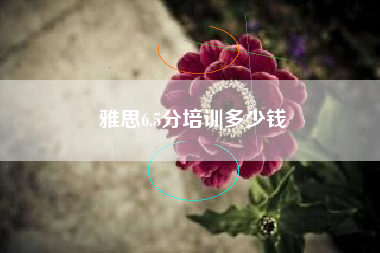 雅思6.5分培训多少钱