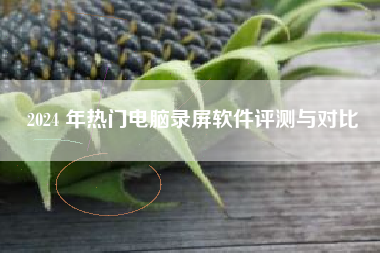 2024 年热门电脑录屏软件评测与对比
