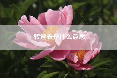 转速表是什么意思