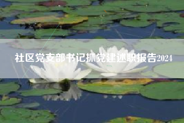 社区党支部书记抓党建述职报告2024 社区党支部书记抓党建述职报告2024