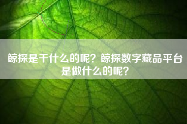 鲸探是干什么的呢?鲸探数字藏品平台是做什么的呢? 鲸探是干什么的呢?鲸探数字藏品平台是做什么的呢?