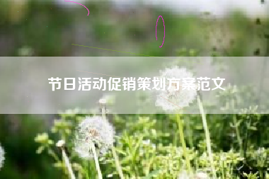 节日活动促销策划方案范文