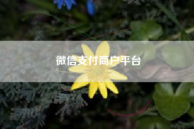 微信支付商户平台