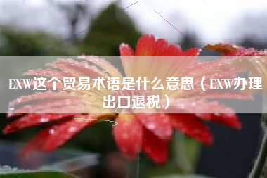 EXW这个贸易术语是什么意思（EXW办理出口退税）