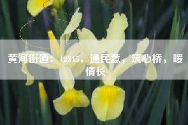 黄河街道：12345，通民意，筑心桥，暖情长
