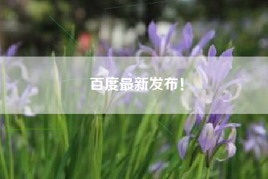 百度最新发布！