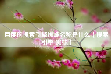 百度的搜索引擎蜘蛛名称是什么【搜索引擎 蜘蛛】