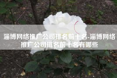 淄博网络推广公司排名前十名-淄博网络推广公司排名前十名有哪些