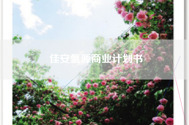佳安氢源商业计划书