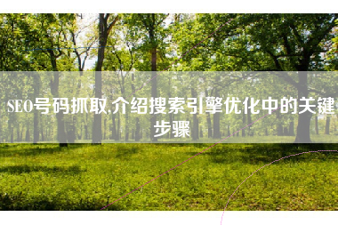 SEO号码抓取,介绍搜索引擎优化中的关键步骤