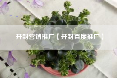开封营销推广【开封百度推广】