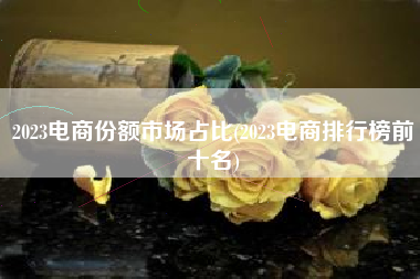 2023电商份额市场占比(2023电商排行榜前十名)