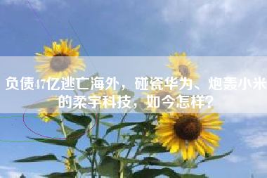 负债47亿逃亡海外，碰瓷华为、炮轰小米的柔宇科技，如今怎样？