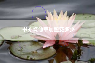 书亦烧仙草加盟费多少