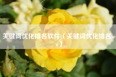 关键词优化排名软件（关键词优化排名seo）