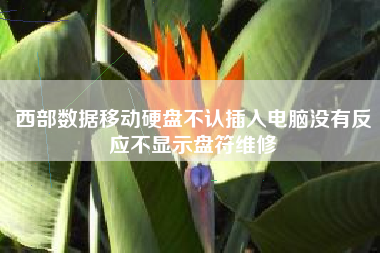 西部数据移动硬盘不认插入电脑没有反应不显示盘符维修 西部数据移动硬盘不认插入电脑没有反应不显示盘符维修