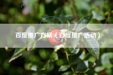 百度推广方案（百度推广活动）