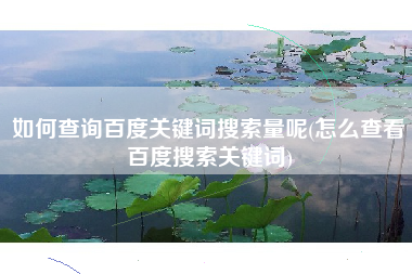 如何查询百度关键词搜索量呢(怎么查看百度搜索关键词)