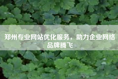 郑州专业网站优化服务，助力企业网络品牌腾飞