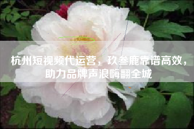 杭州短视频代运营，玖叁鹿靠谱高效，助力品牌声浪嗨翻全城