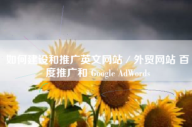 如何建设和推广英文网站／外贸网站 百度推广和 Google AdWords