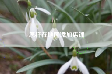 怎样在地图添加店铺