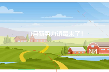 11月新势力销量来了！