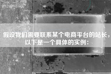 假设我们需要联系某个电商平台的站长，以下是一个具体的实例：