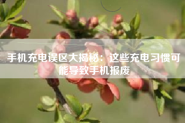 手机充电误区大揭秘：这些充电习惯可能导致手机报废