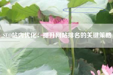 SEO站内优化：提升网站排名的关键策略