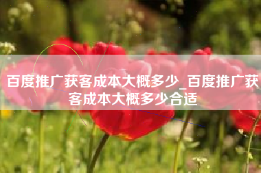 百度推广获客成本大概多少_百度推广获客成本大概多少合适