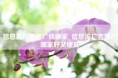 信息流广告推广找哪家_信息流广告推广哪家好又便宜