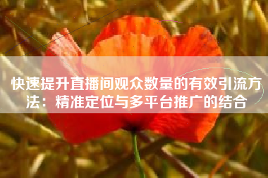 快速提升直播间观众数量的有效引流方法：精准定位与多平台推广的结合