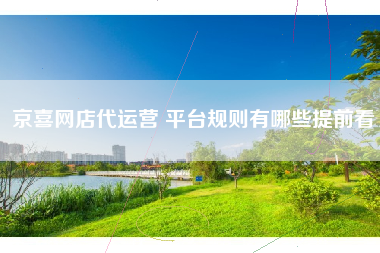 京喜网店代运营 平台规则有哪些提前看