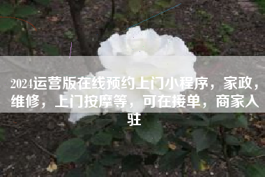 2024运营版在线预约上门小程序，家政，维修，上门按摩等，可在接单，商家入驻