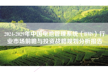 2024-2029年中国电池管理系统（BMS）行业市场前瞻与投资战略规划分析报告